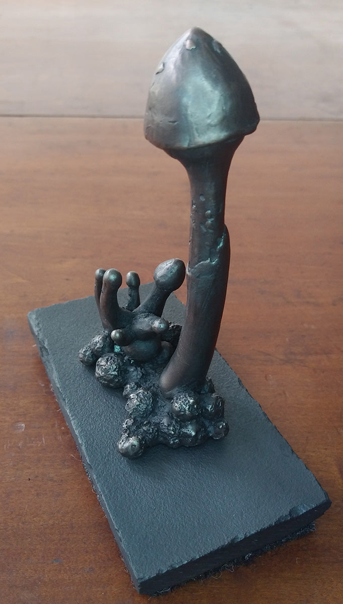 Bronze Mushroom 1