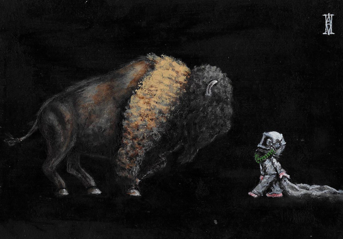 Nocturnal Encounter II