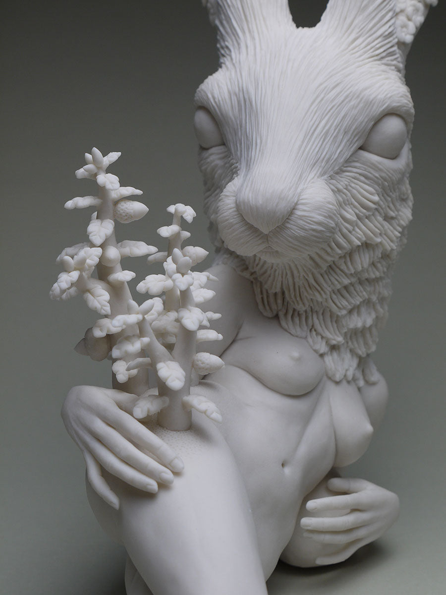 Ephemeral: Snowball Bloom