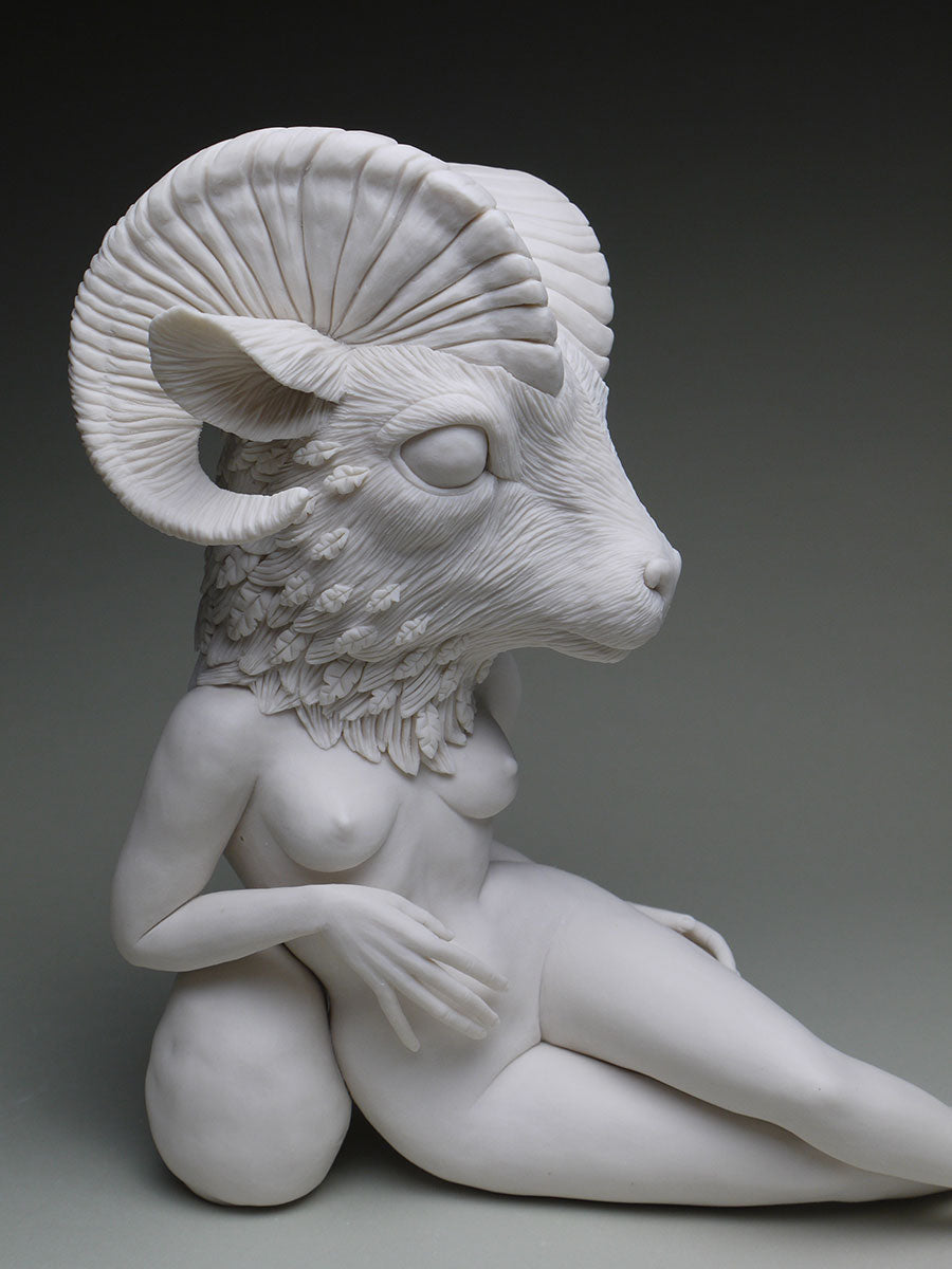 California Bighorn Sheep