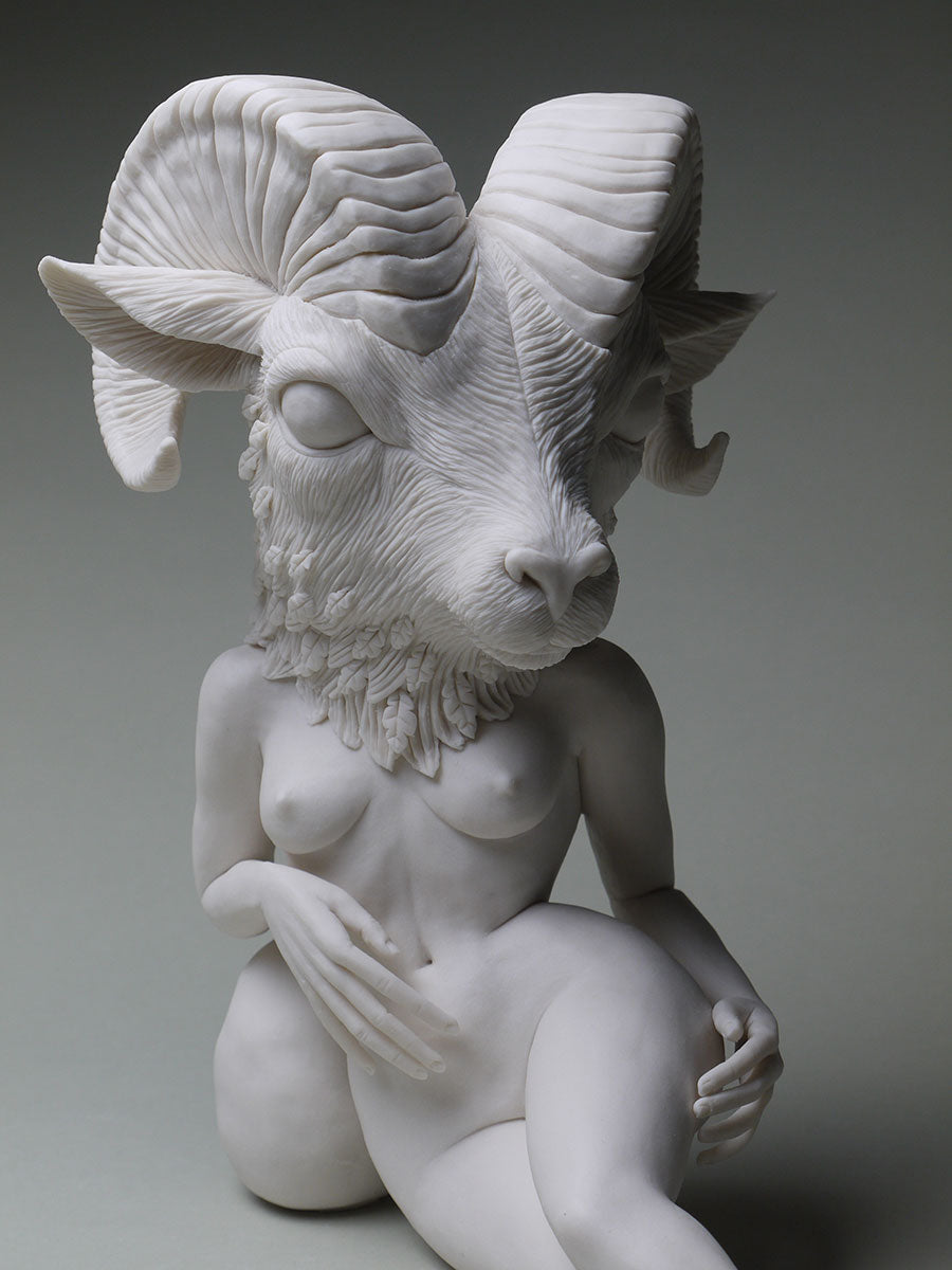 California Bighorn Sheep