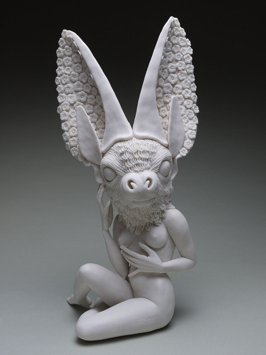 Townsend Big Eared Bat