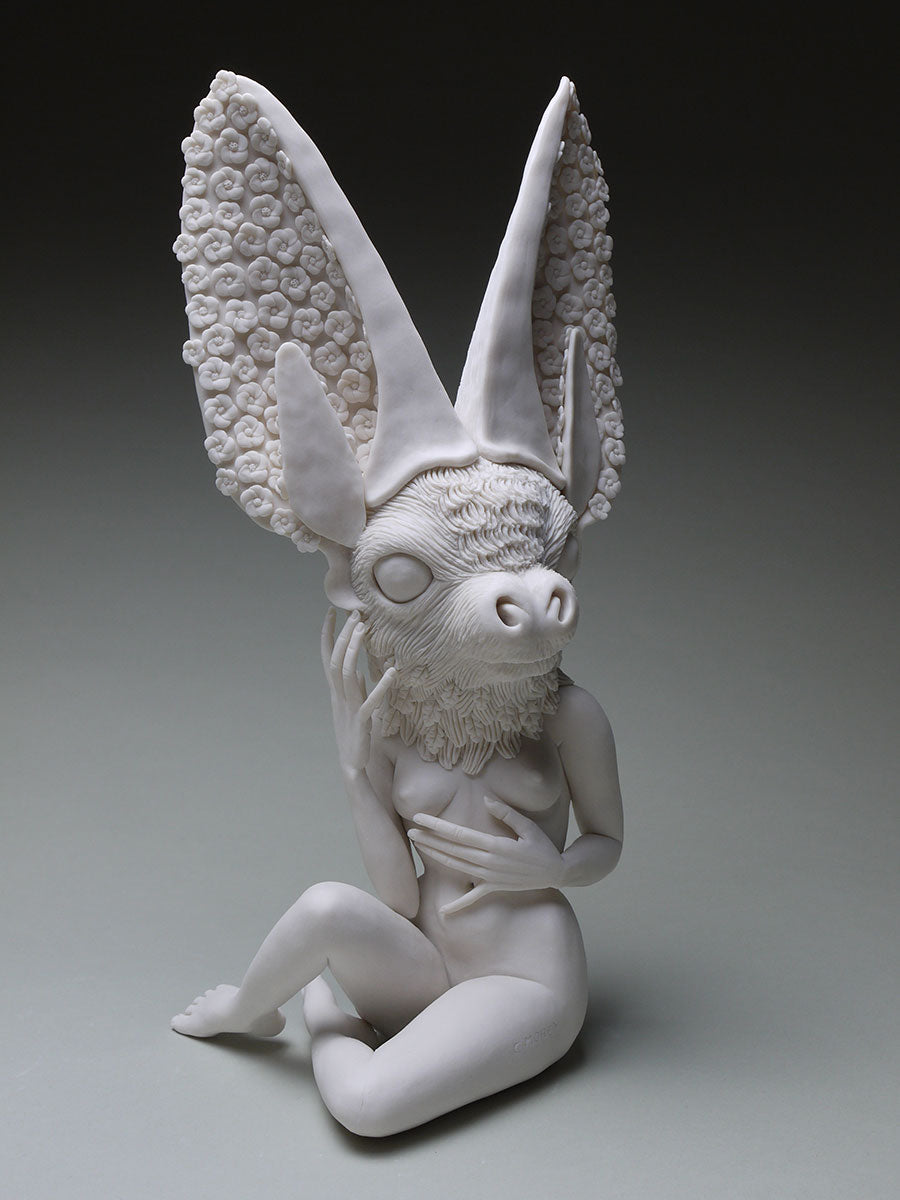 Townsend Big Eared Bat