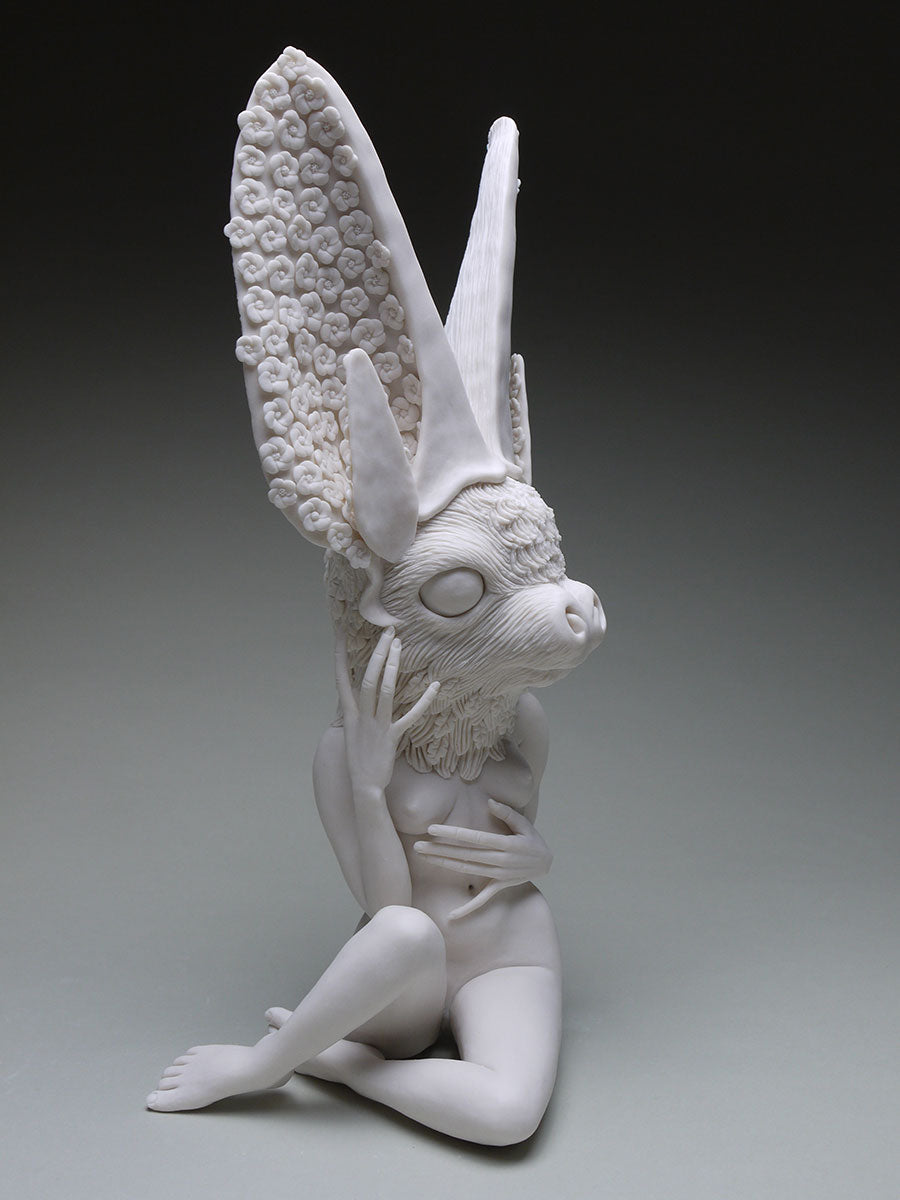 Townsend Big Eared Bat