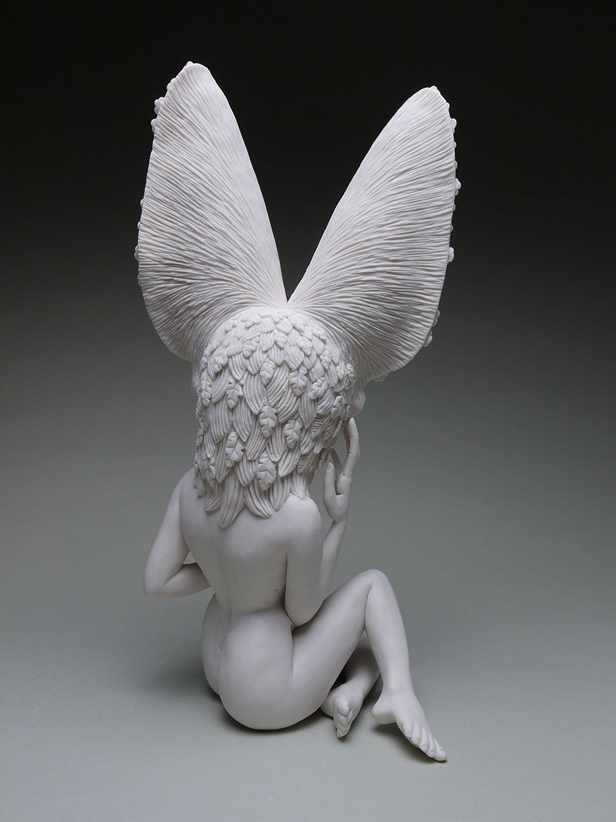 Townsend Big Eared Bat