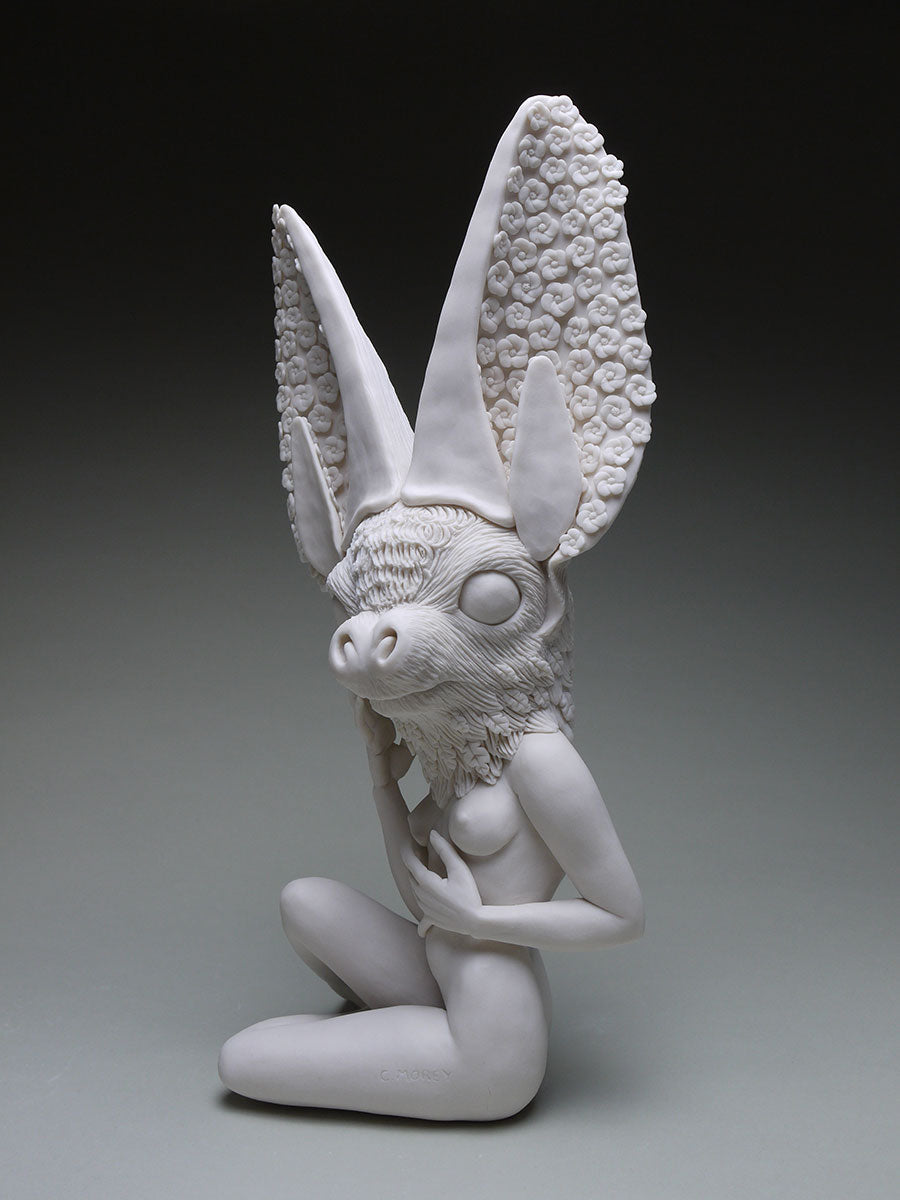 Townsend Big Eared Bat