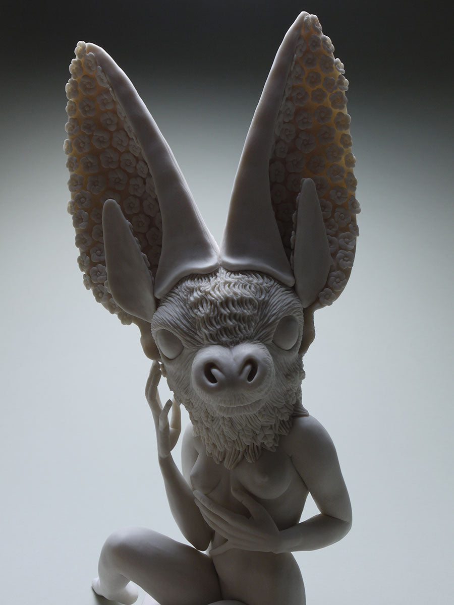 Townsend Big Eared Bat