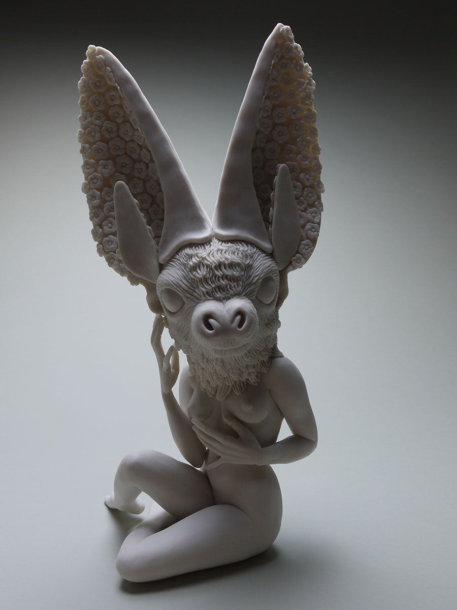 Townsend Big Eared Bat