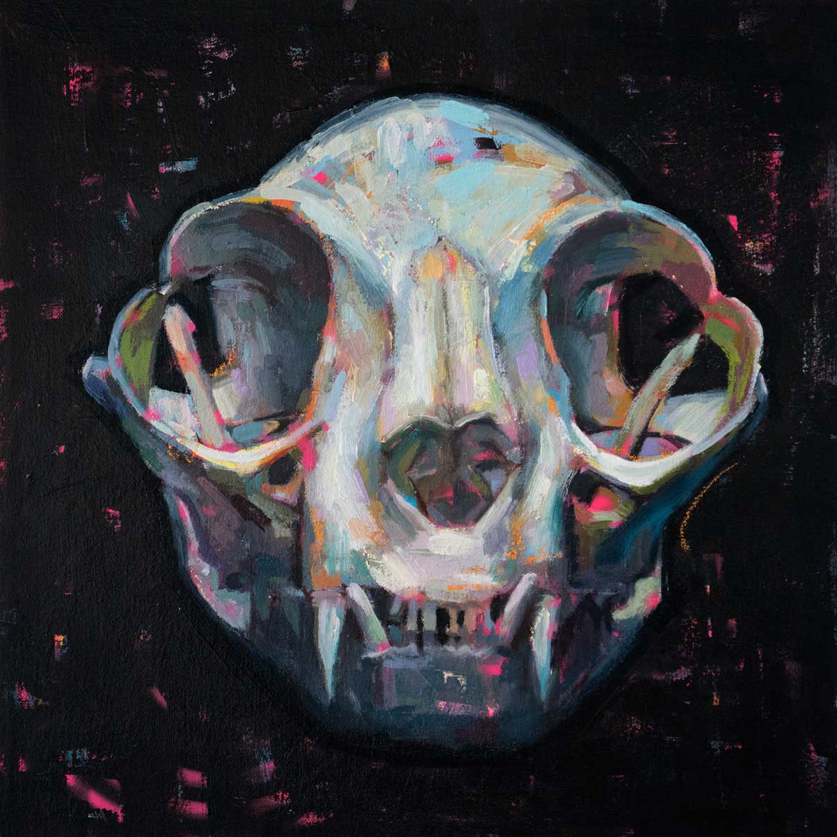 Cat Skull - Modern Eden Gallery