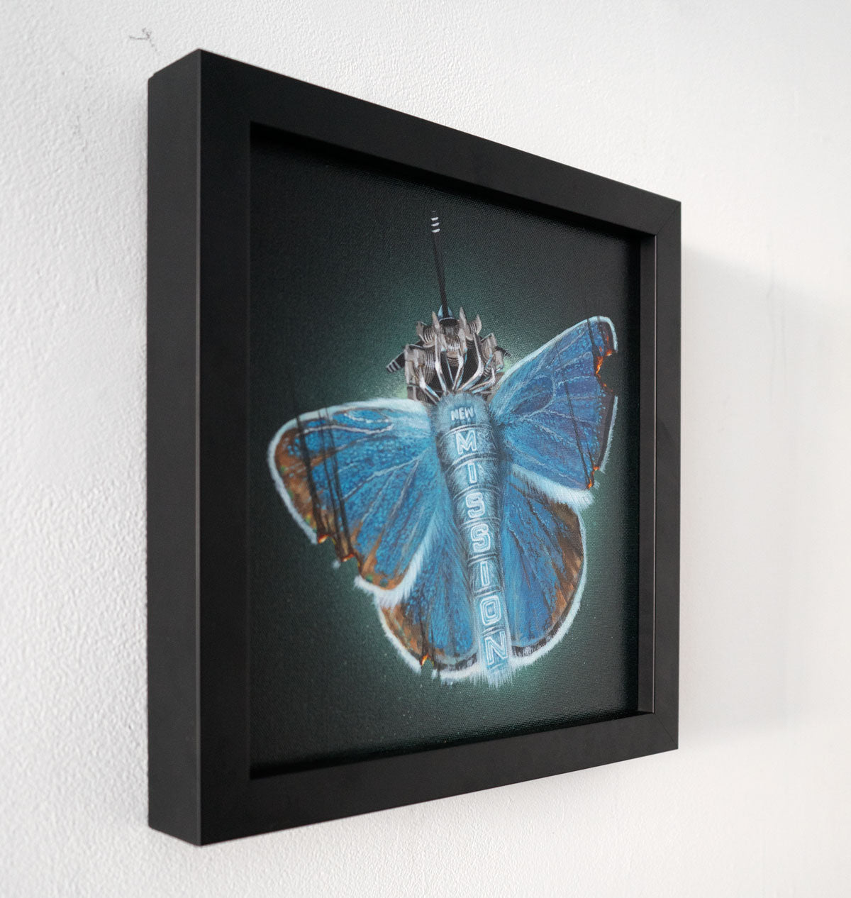 Endangered Mission Blue Butterfly