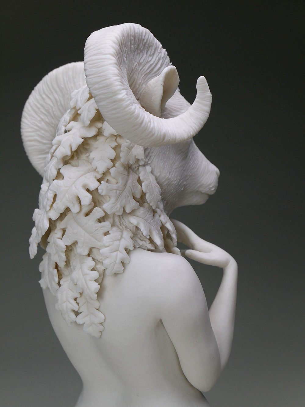 Delicate Dependency: California Bighorn and White Oak