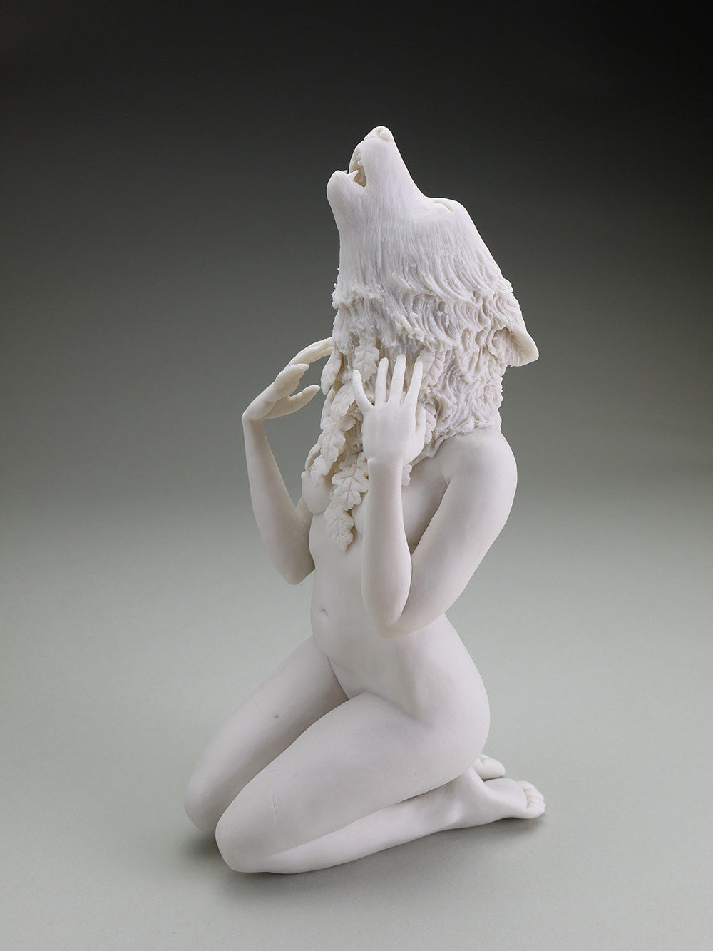 Delicate Dependency: Gray Wolf and White Oak