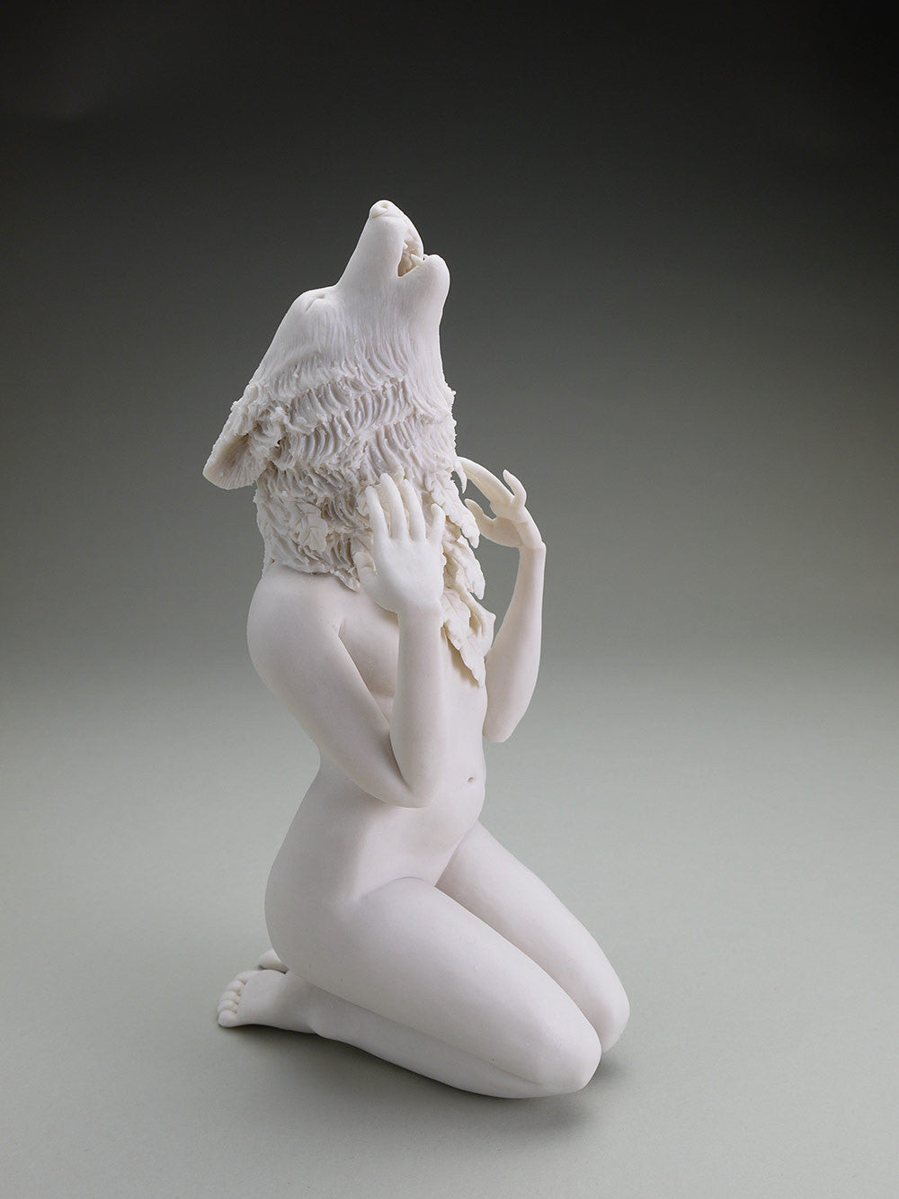 Delicate Dependency: Gray Wolf and White Oak