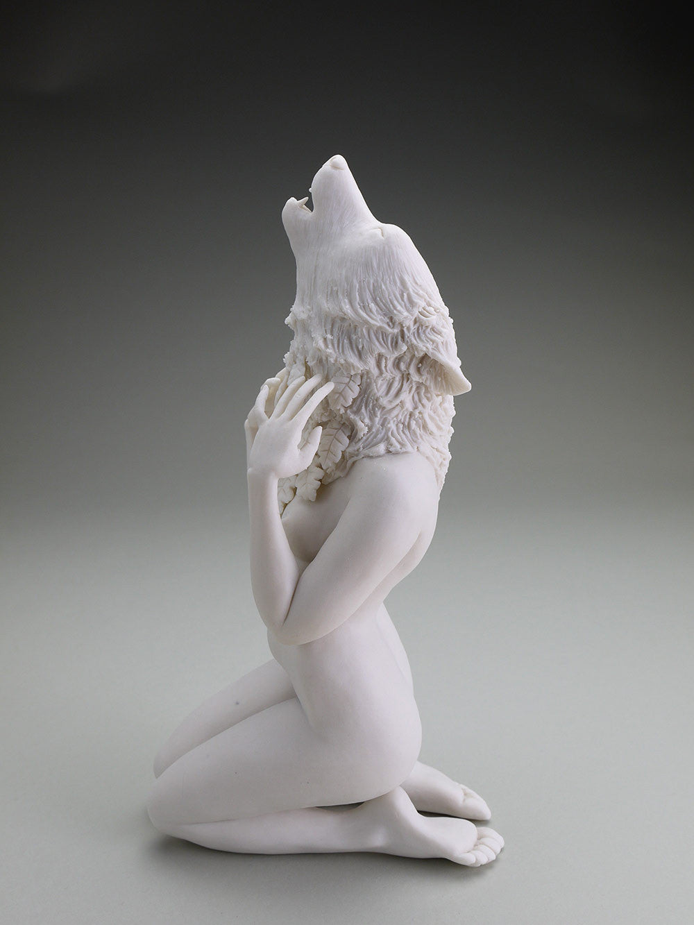 Delicate Dependency: Gray Wolf and White Oak