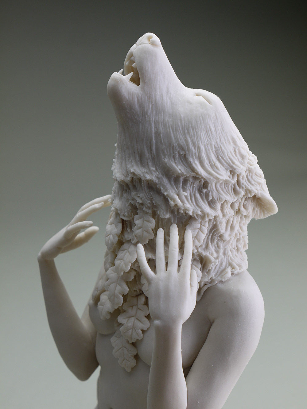 Delicate Dependency: Gray Wolf and White Oak