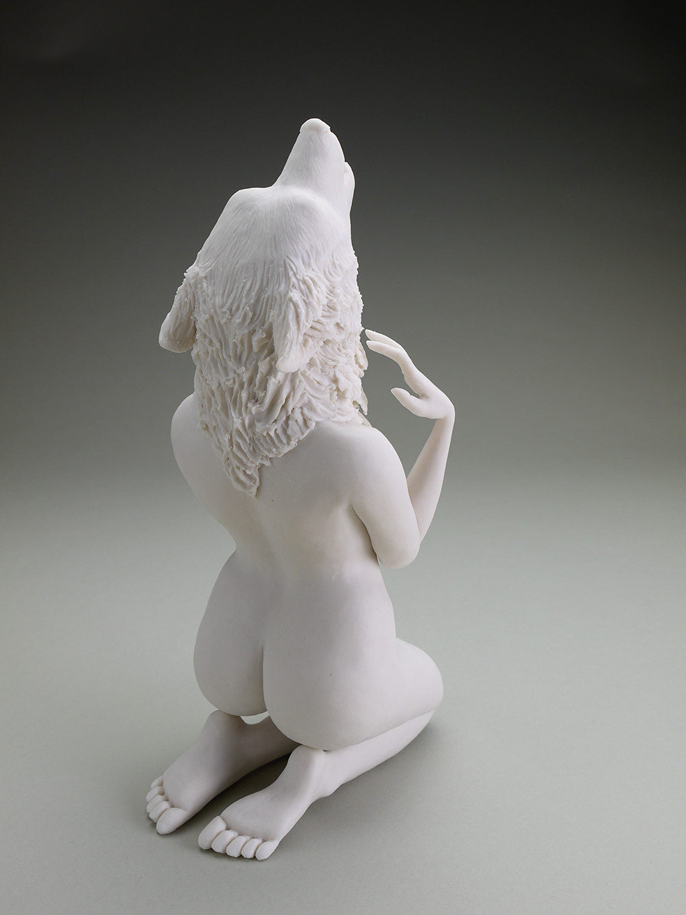 Delicate Dependency: Gray Wolf and White Oak