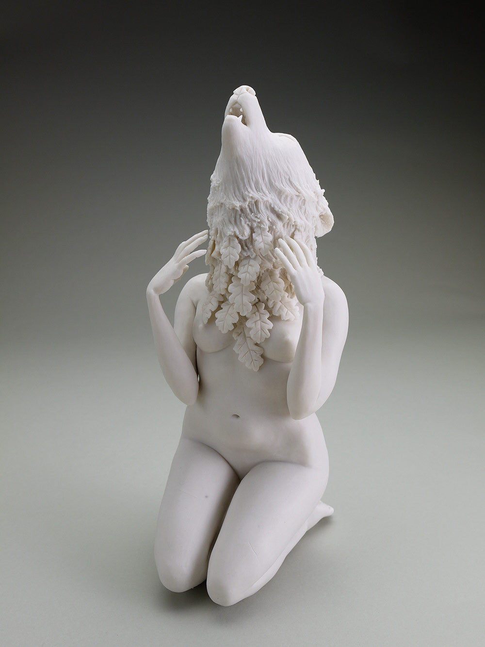 Delicate Dependency: Gray Wolf and White Oak