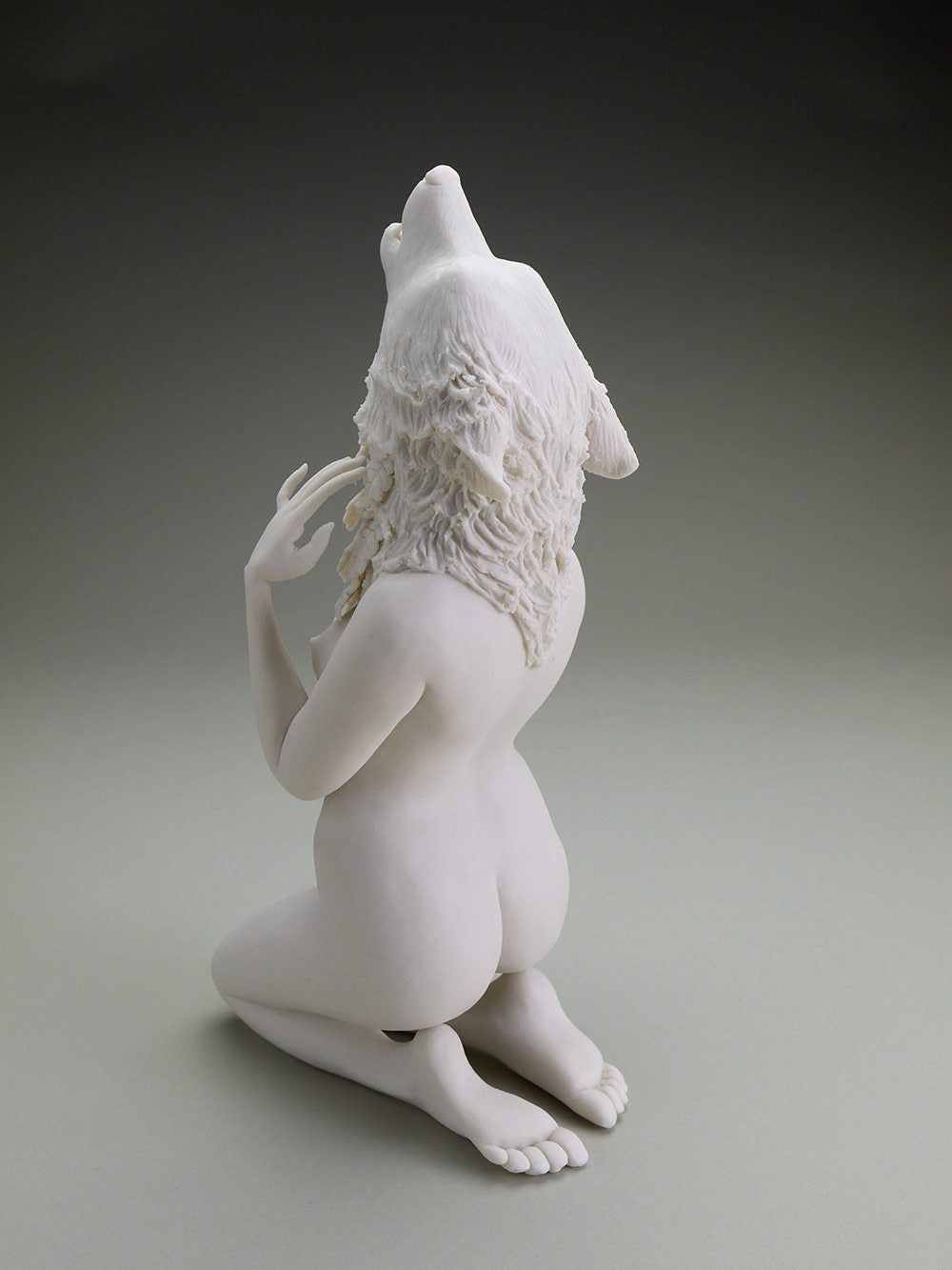 Delicate Dependency: Gray Wolf and White Oak