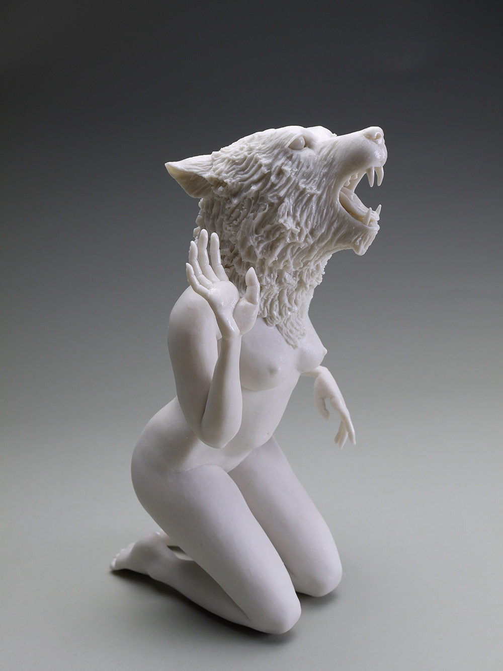 Delicate Dependency: Mountain Lioness