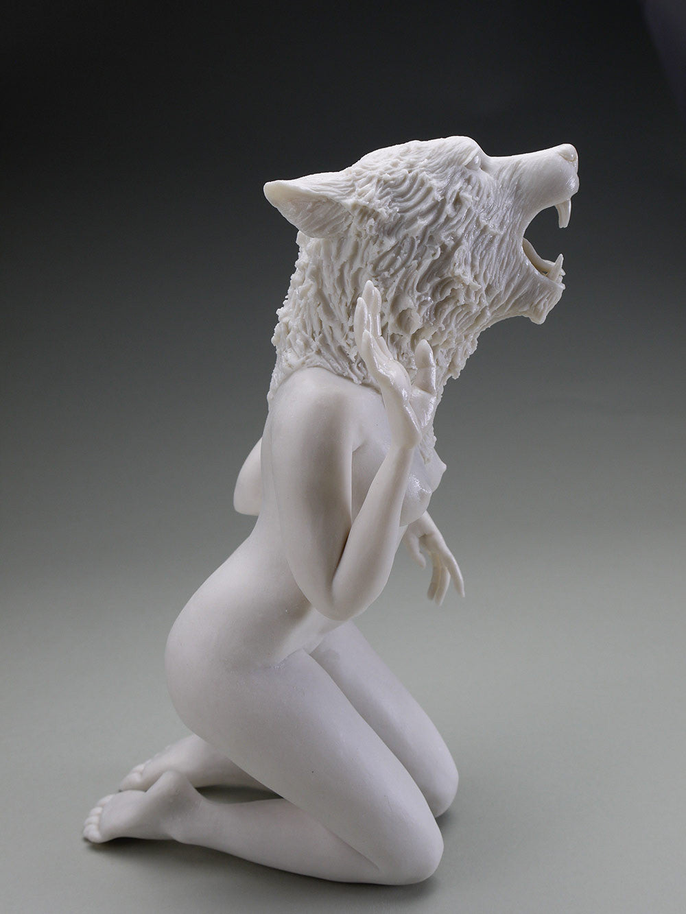 Delicate Dependency: Mountain Lioness