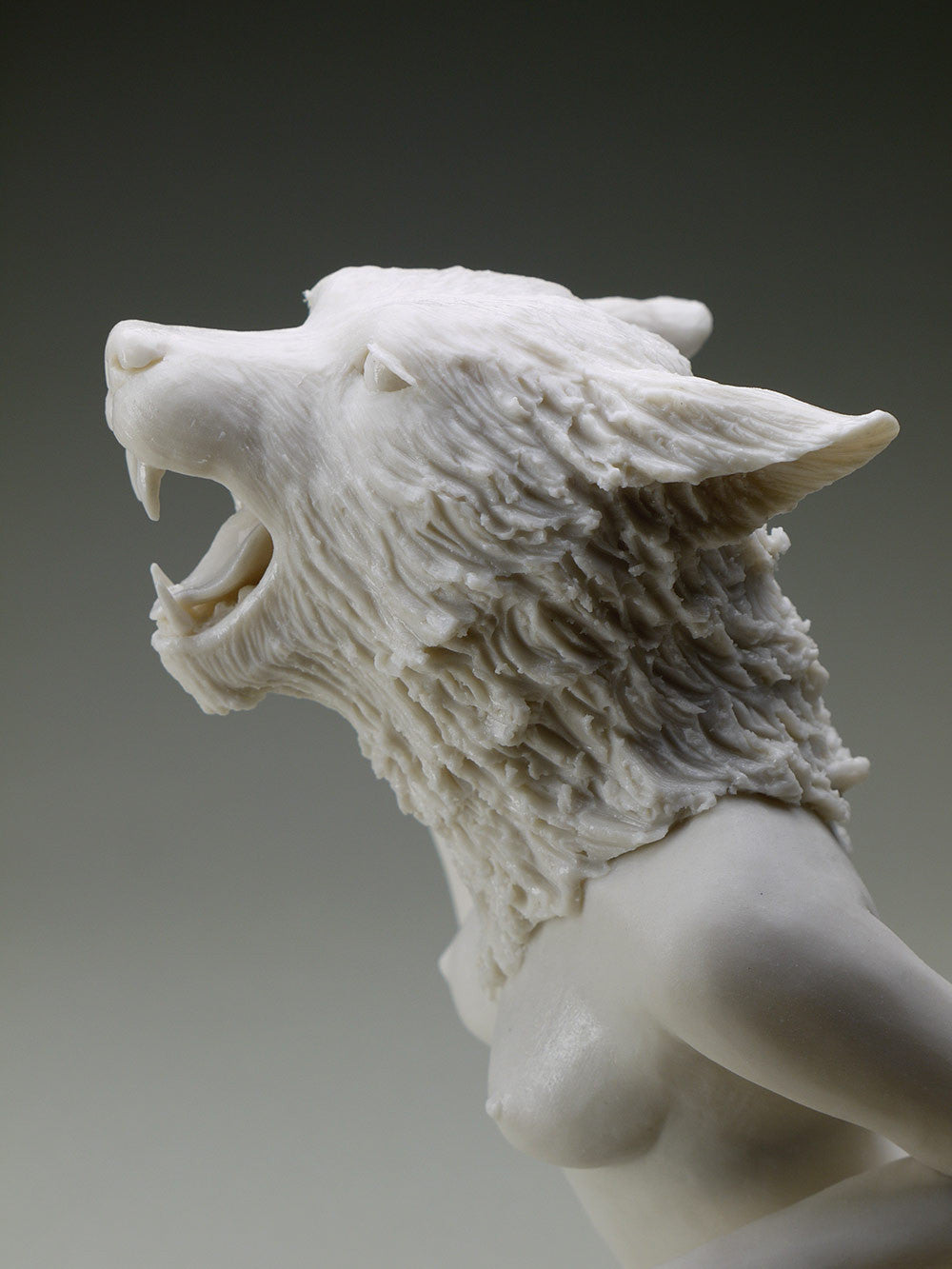 Delicate Dependency: Mountain Lioness