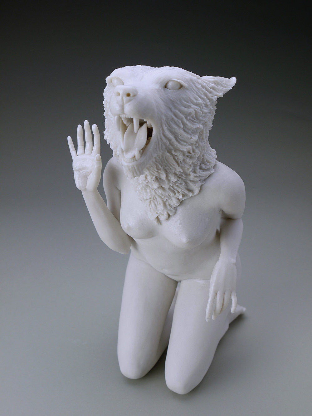 Delicate Dependency: Mountain Lioness