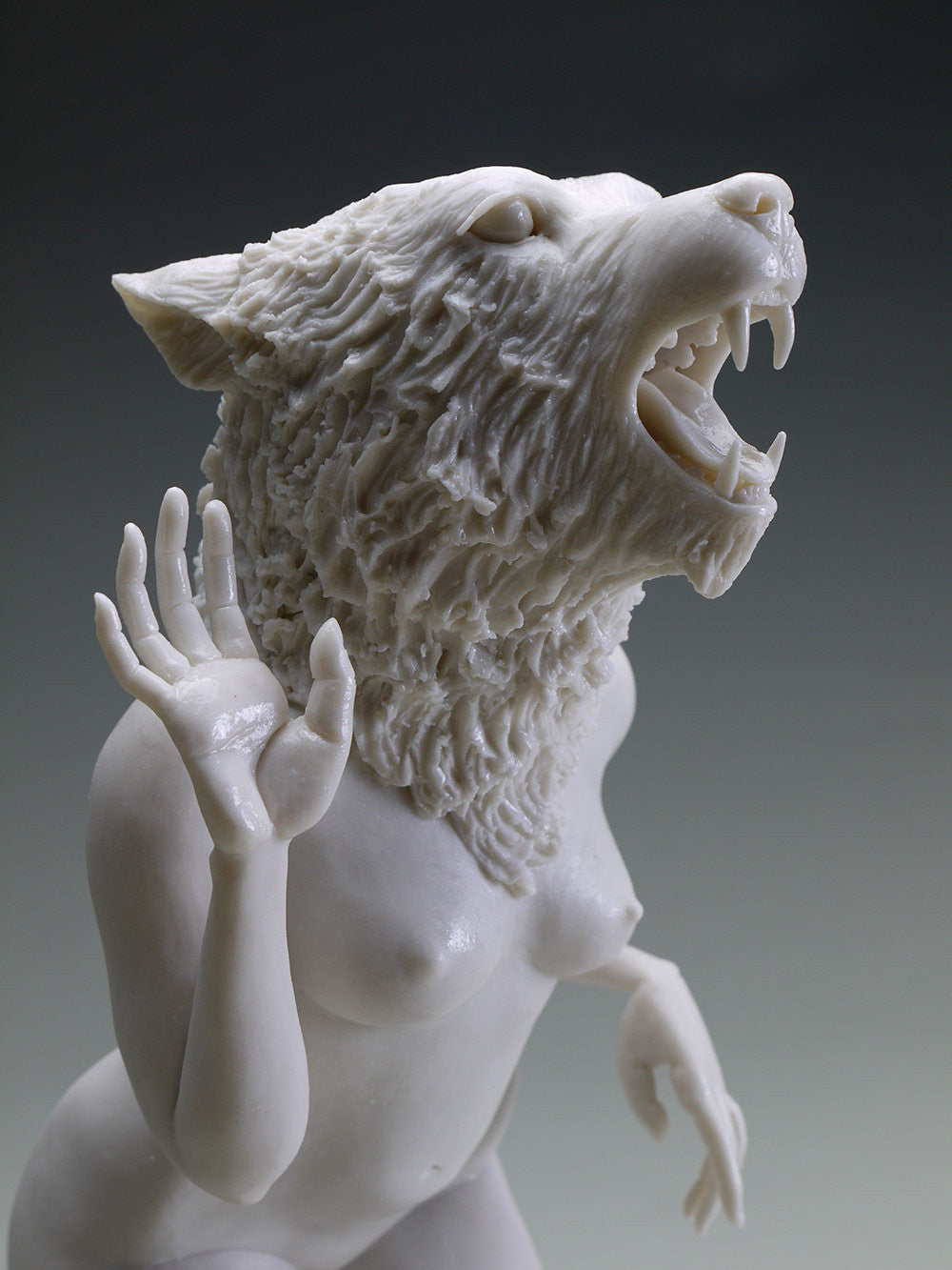 Delicate Dependency: Mountain Lioness