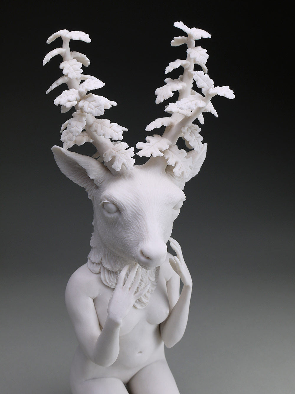 Delicate Dependency: Mule Deer Adaptation