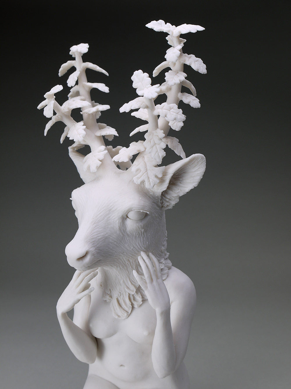 Delicate Dependency: Mule Deer Adaptation