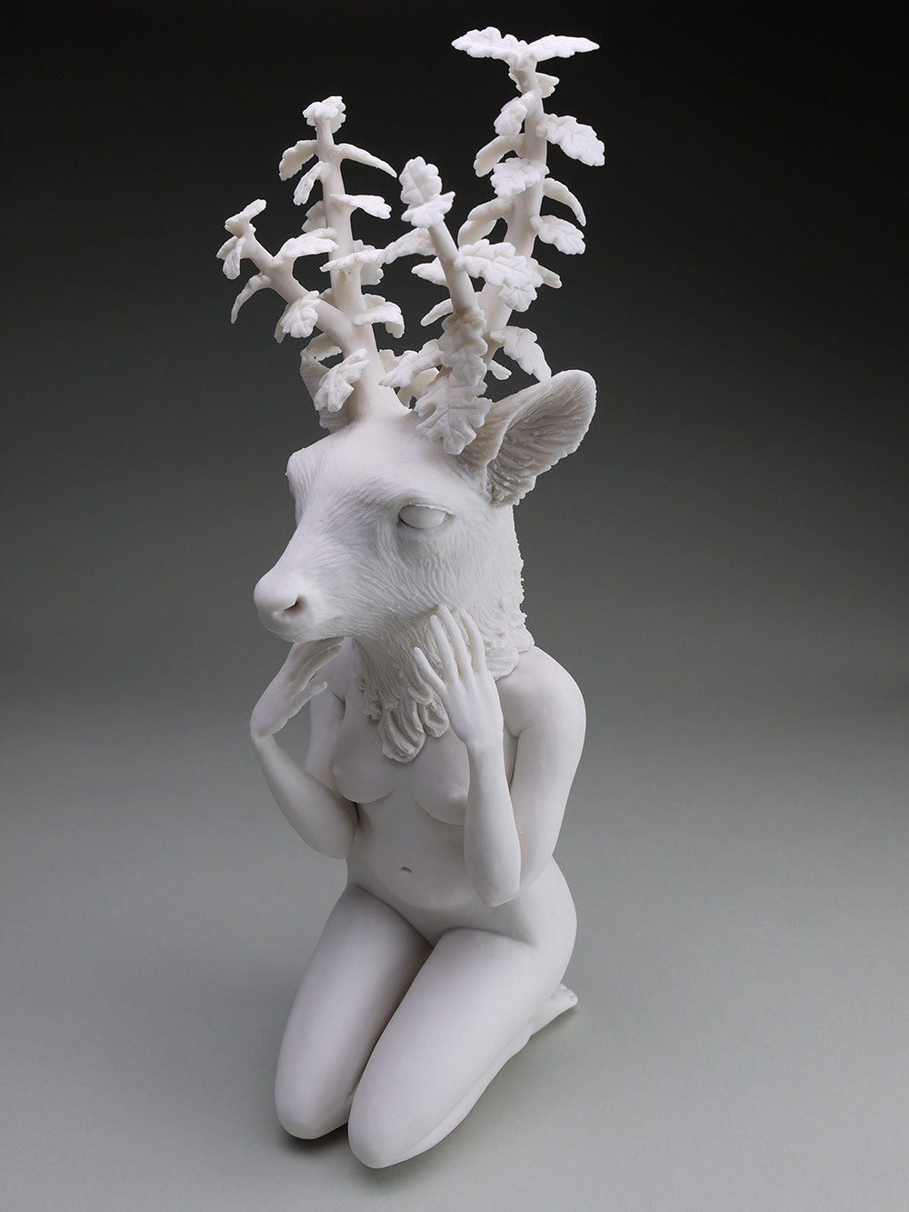 Delicate Dependency: Mule Deer Adaptation