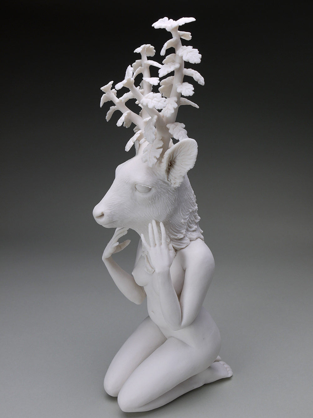 Delicate Dependency: Mule Deer Adaptation