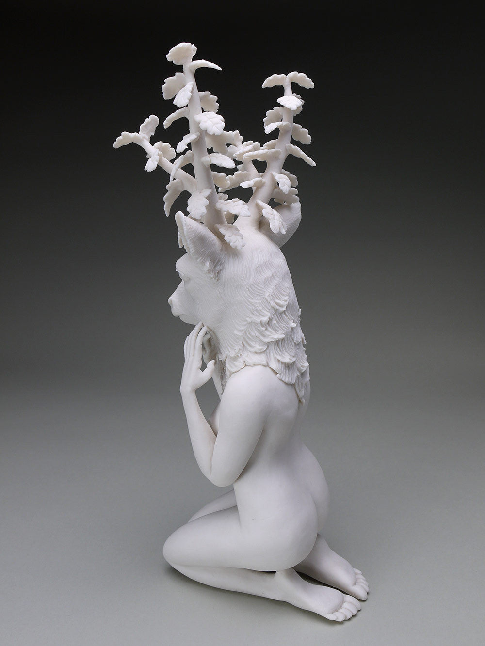 Delicate Dependency: Mule Deer Adaptation