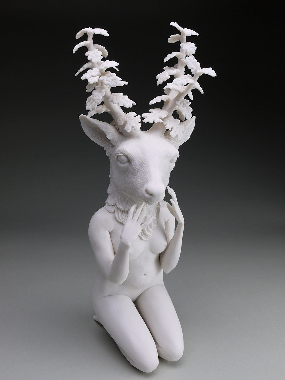 Delicate Dependency: Mule Deer Adaptation