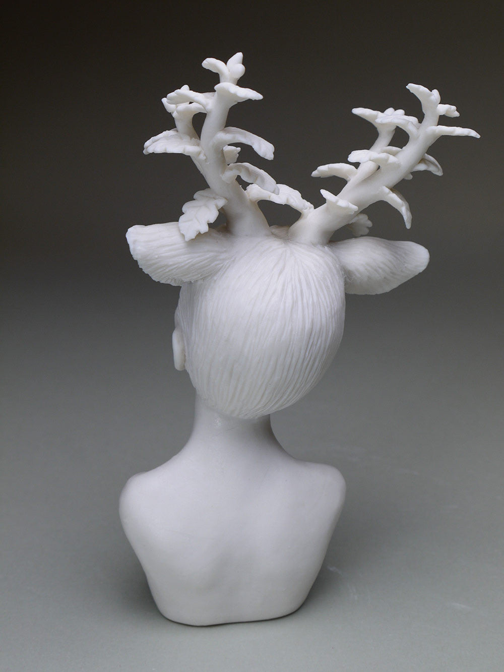 Delicate Dependency: Oak Cycle 4