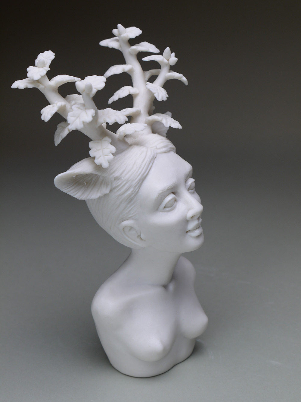 Delicate Dependency: Oak Cycle 4