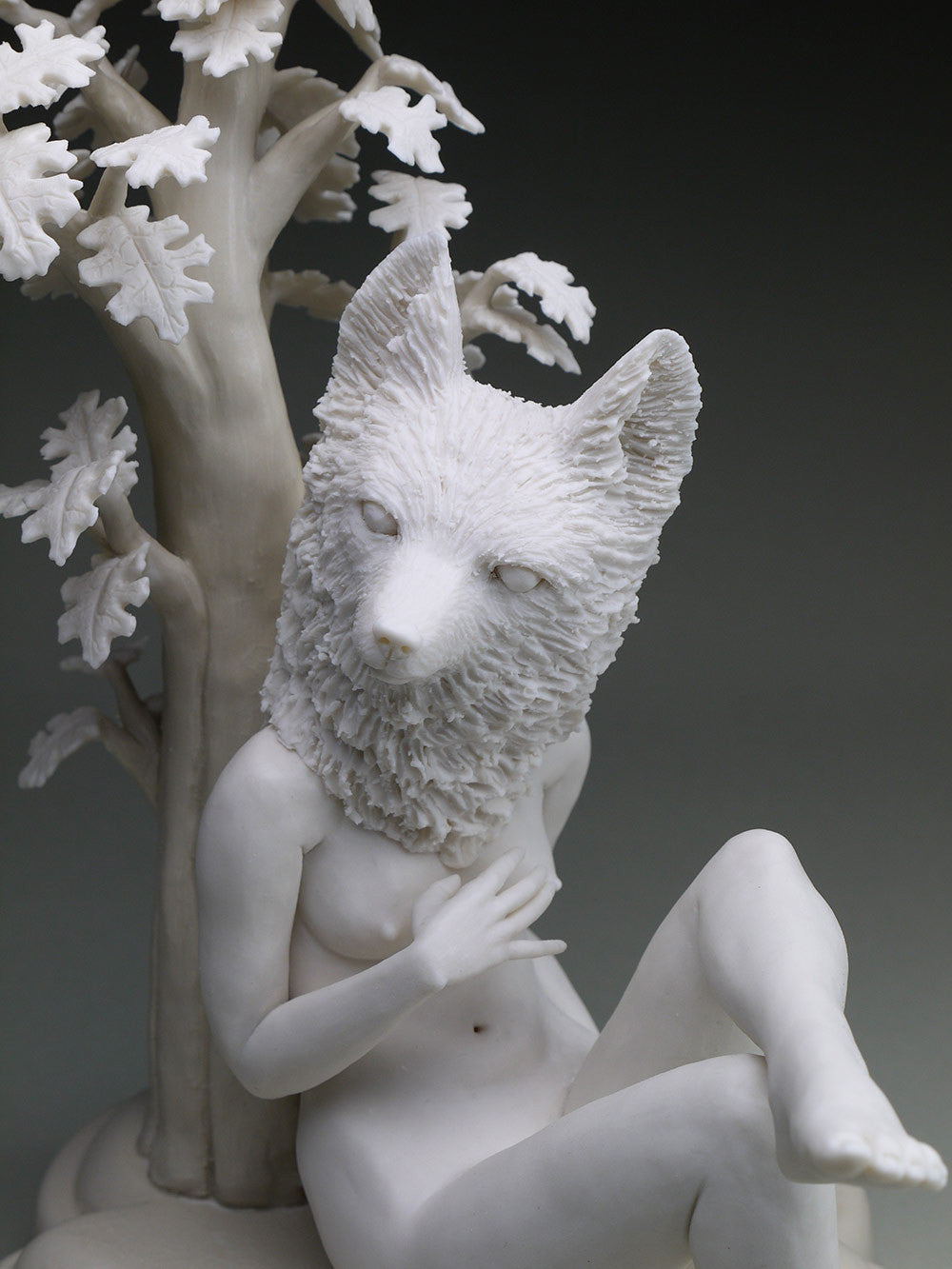 Delicate Dependency: Red Fox and Live Oak