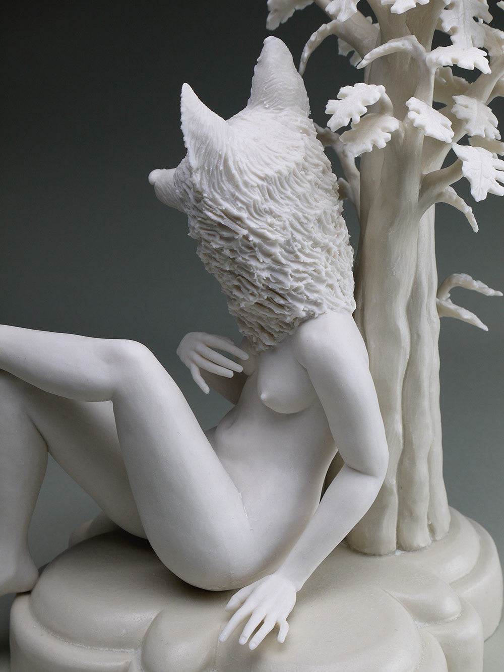 Delicate Dependency: Red Fox and Live Oak