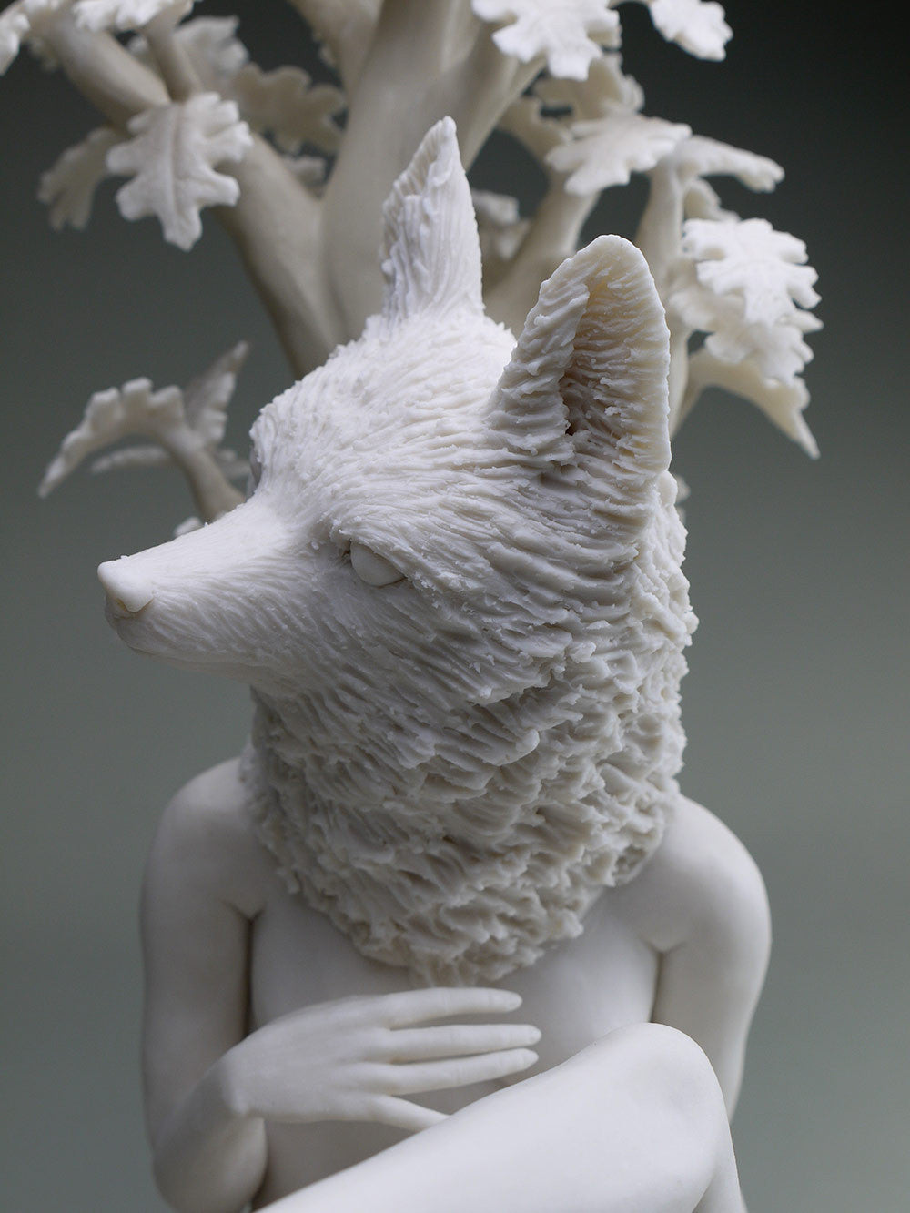 Delicate Dependency: Red Fox and Live Oak