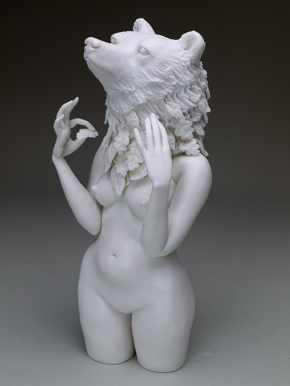 Delicate Dependency: Brown Bear and White Oak