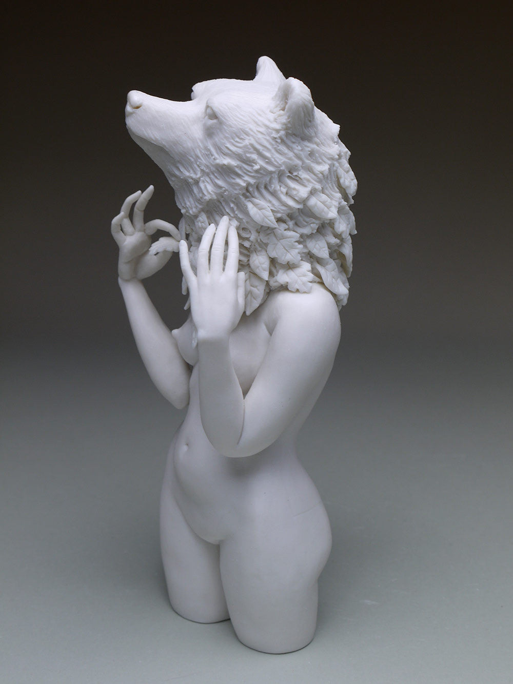 Delicate Dependency: Brown Bear and White Oak