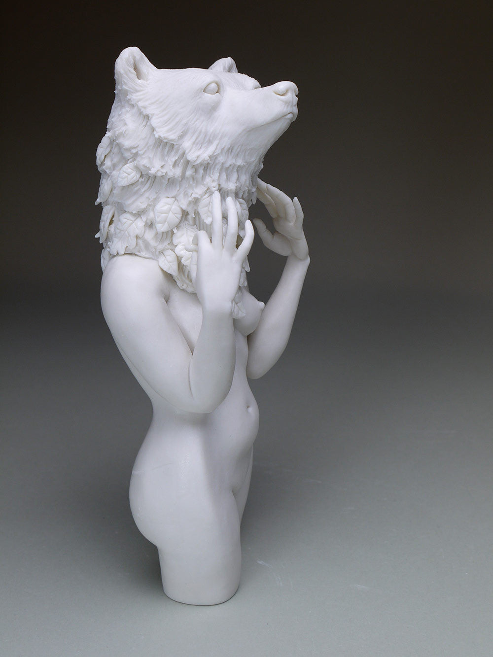 Delicate Dependency: Brown Bear and White Oak