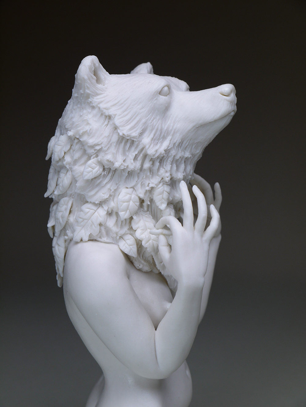 Delicate Dependency: Brown Bear and White Oak