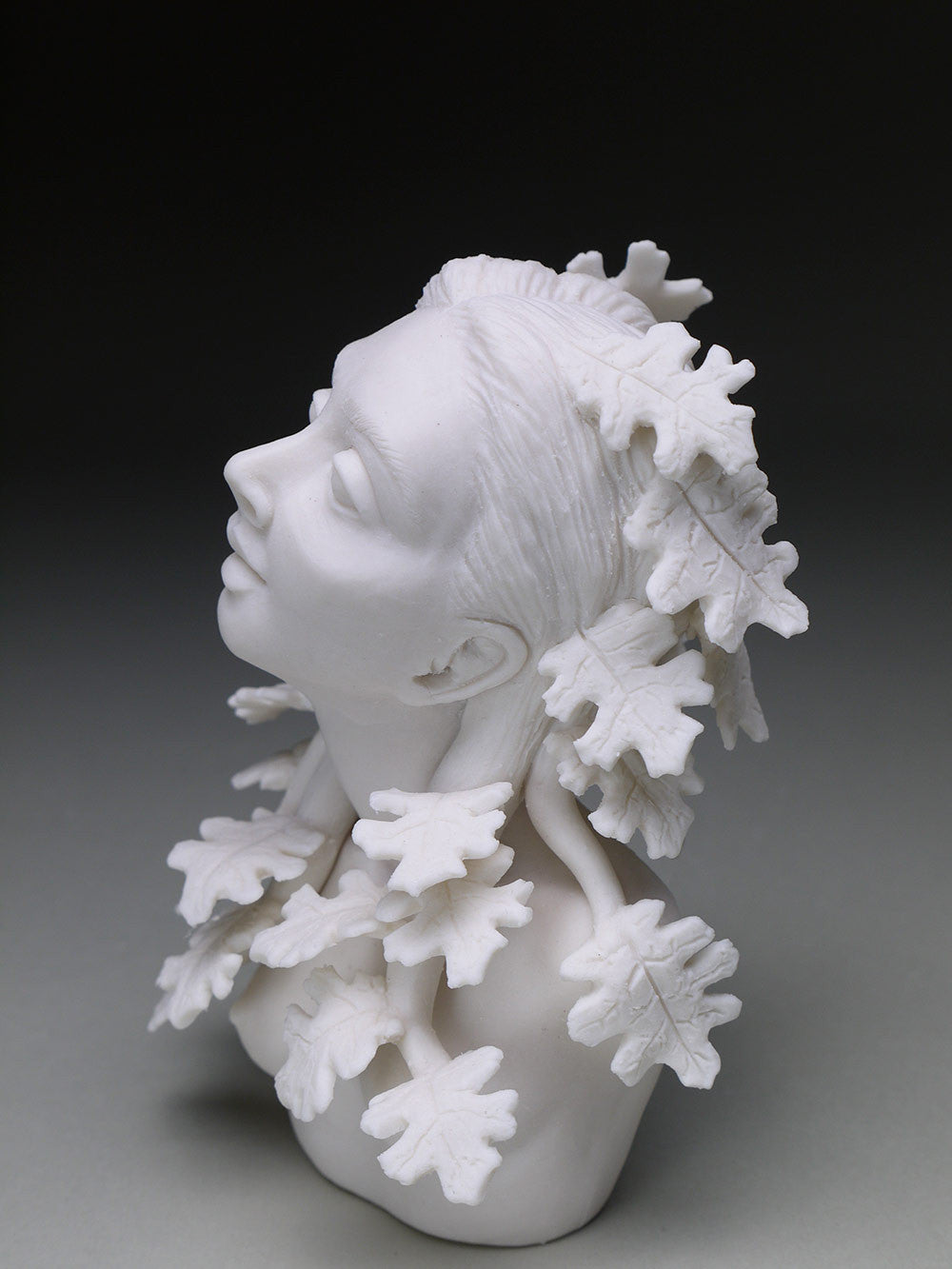 Delicate Dependency: Oak Cycle 2