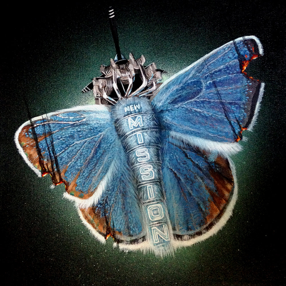 Endangered Mission Blue Butterfly