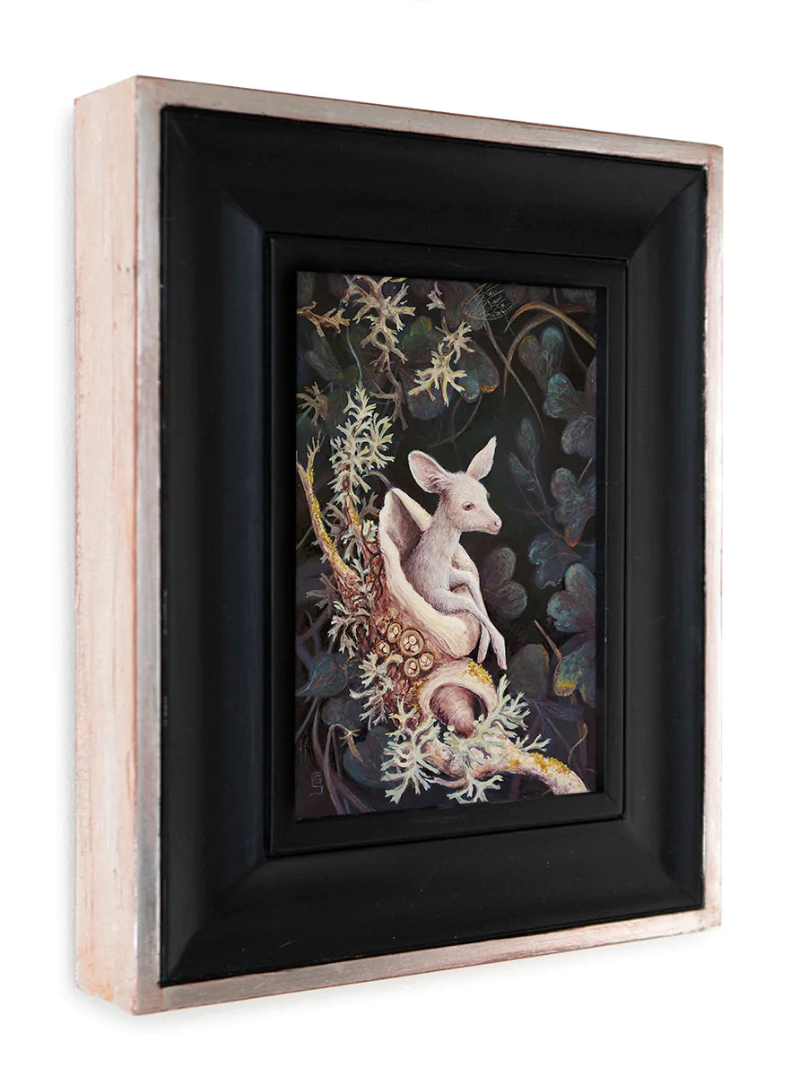 The Whisper of the Lichens