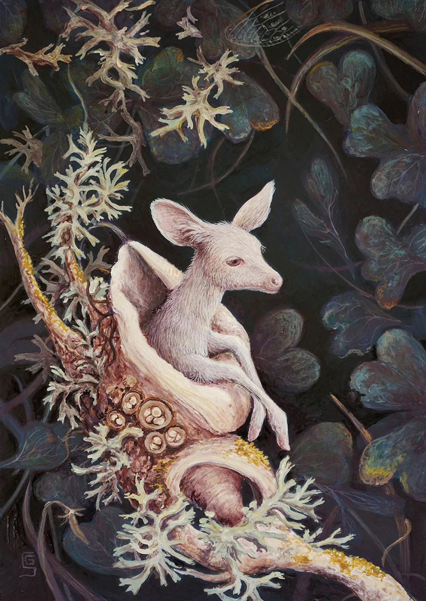 The Whisper of the Lichens