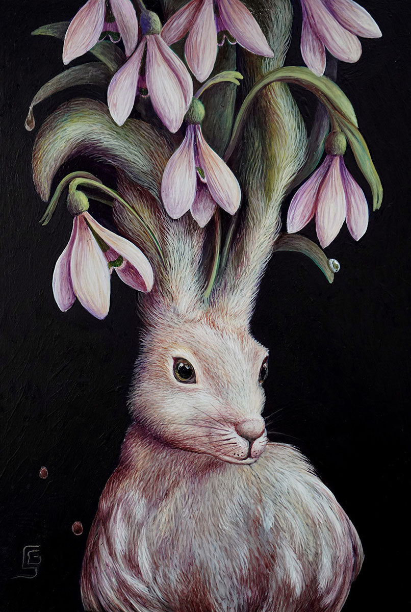 The Promise of the First Snowdrops