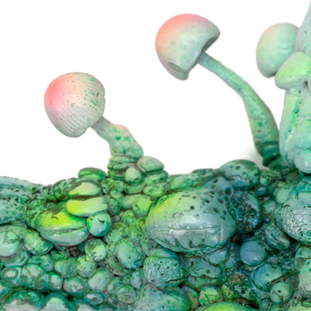 The Balance of the Natural Order: Relic 2