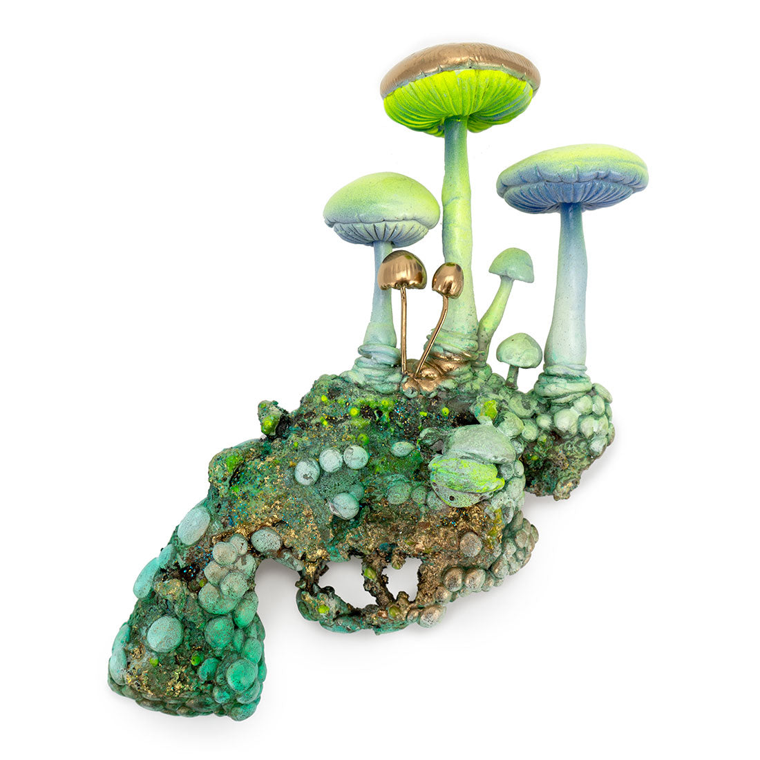 The Balance of the Natural Order: Relic 1