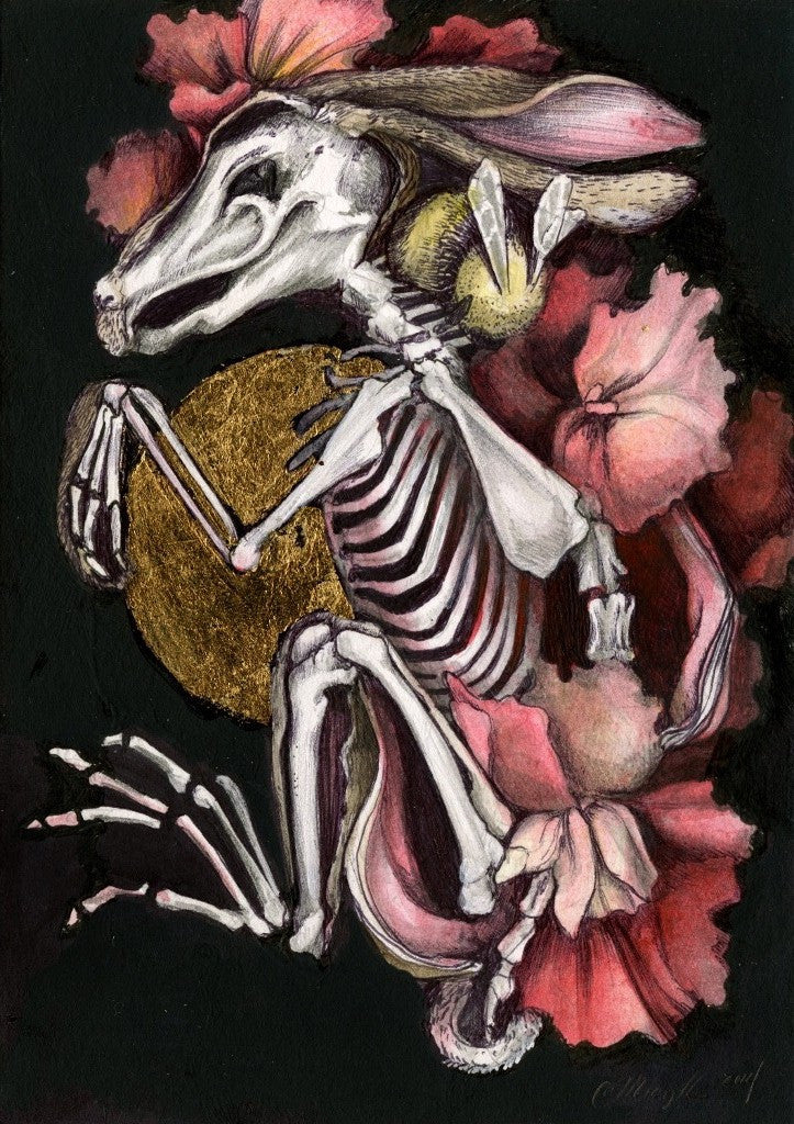 Hare Skeleton